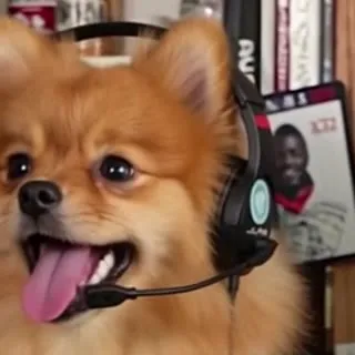 Pomeranian