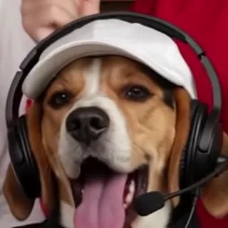 Beagle